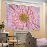 Фото жалюзи. Жалюзи с рисунком или логотипом, Крым