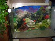 Аквариум на 70 литров