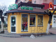 Акция! Качественно и быстро построим термодом