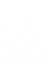 LASTOLITE Фон бумажный White 2.75x11m