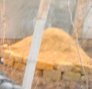 Тырса с доставкой.