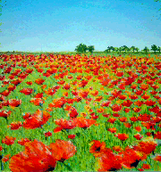 Космос Ковальчук Наташа