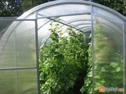 Продам теплицы под сотовый поликарбонат